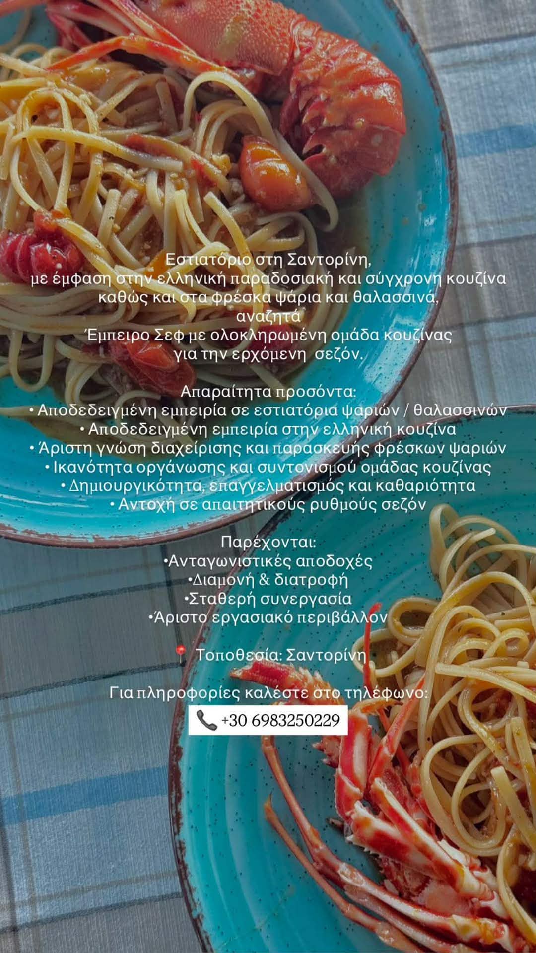 Ζητείται έμπειρος Σεφ με την ομάδα του