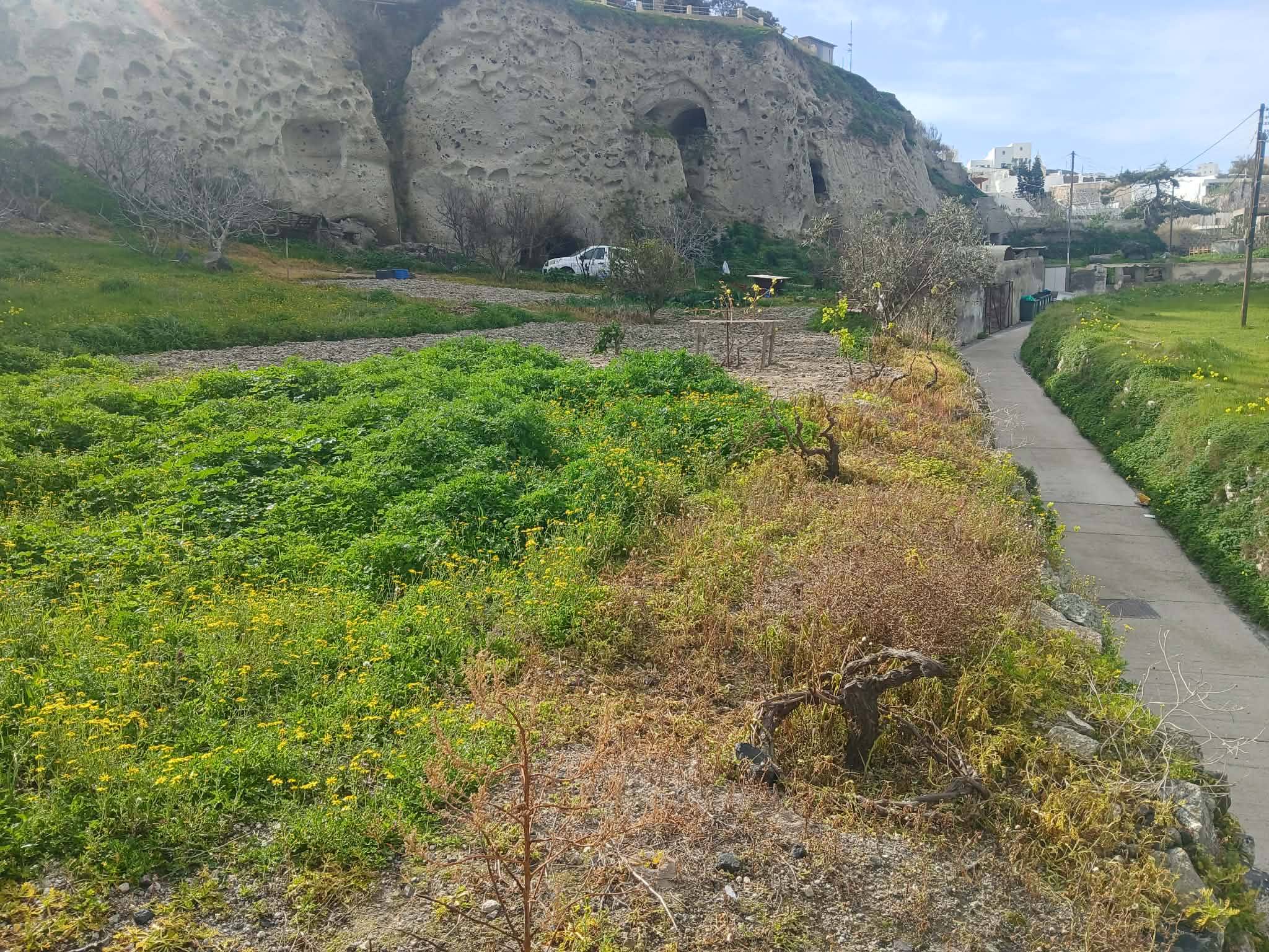 Πωλείται οικόπεδο