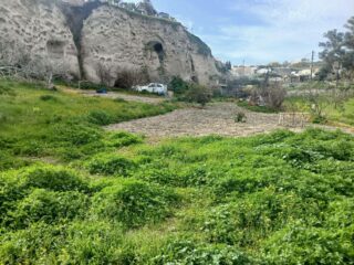 612826525_2990400061349778_5884836969938862076_n