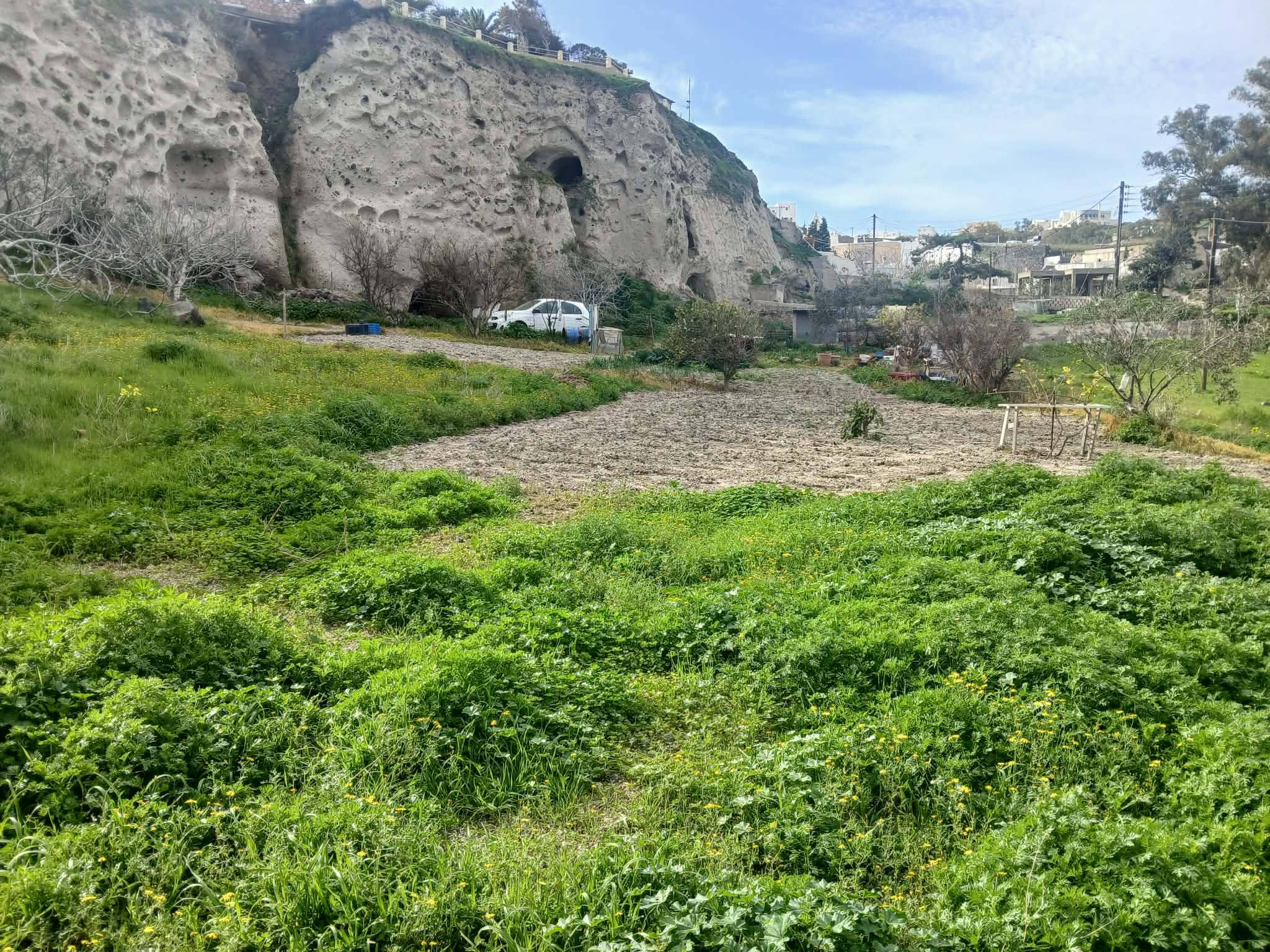 Πωλείται οικόπεδο