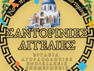 9a3276af-6412-468d-bc36-ddc1ee94e20d-15