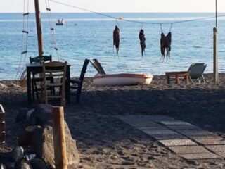 013658f2-84ef-4662-bdde-161bdeaaf503