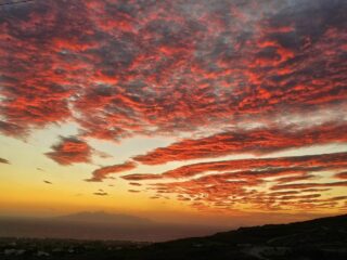 463861310_8601446633266526_6705808128156276408_n