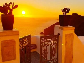 8a9a4844-fbba-4d81-8b0c-d8e97c6a5882